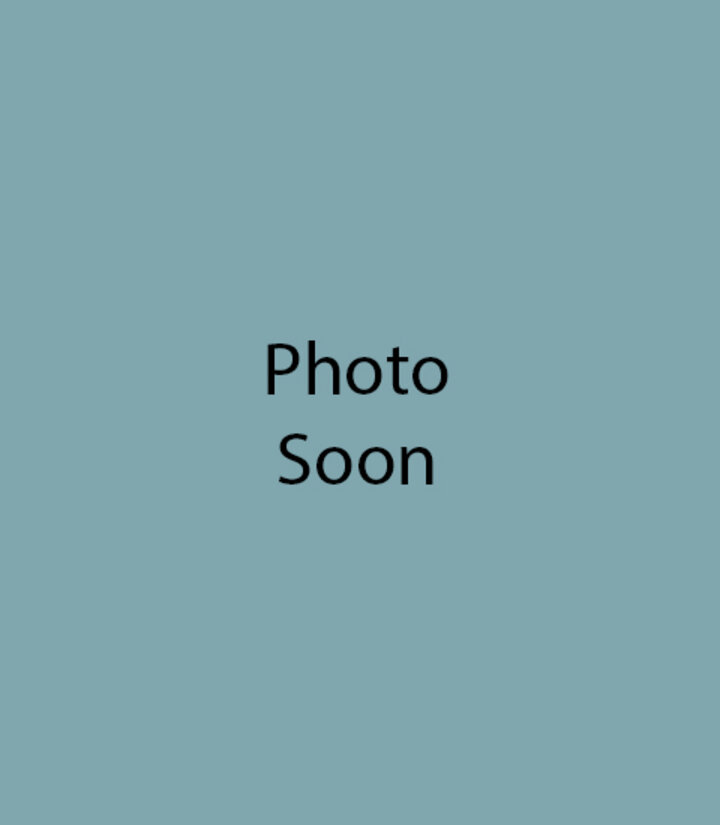 blank placeholder for upcoming photo